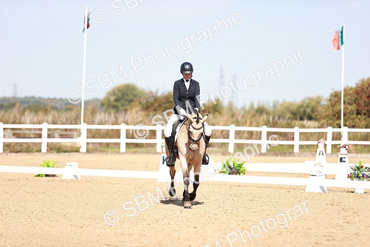 SBM_004632 - Class 12 - Novice 5 - 10.31-11.41