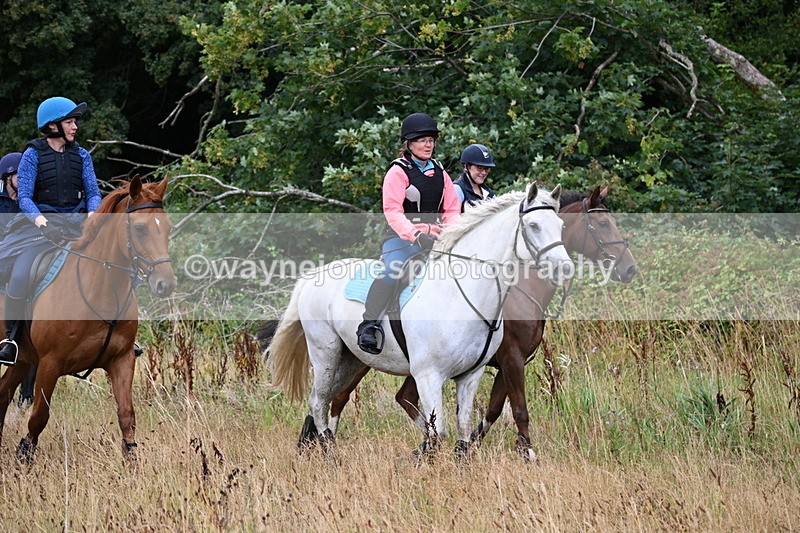 WJ6_2237 - Group 6?