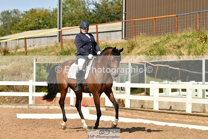 250817-155630-11409 - 211-Carey.CollettRubin's.Fanfare