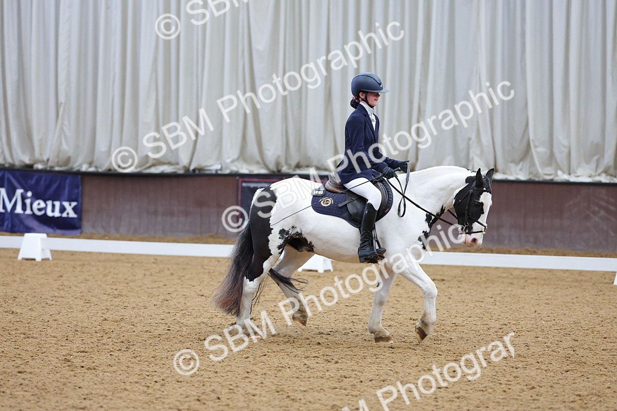 SBM_003089 - Novice