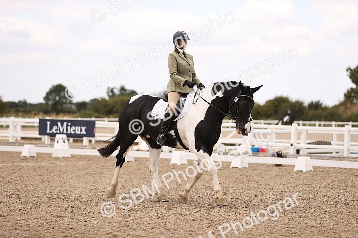 SBM_05880 - Class 37 Novice 5