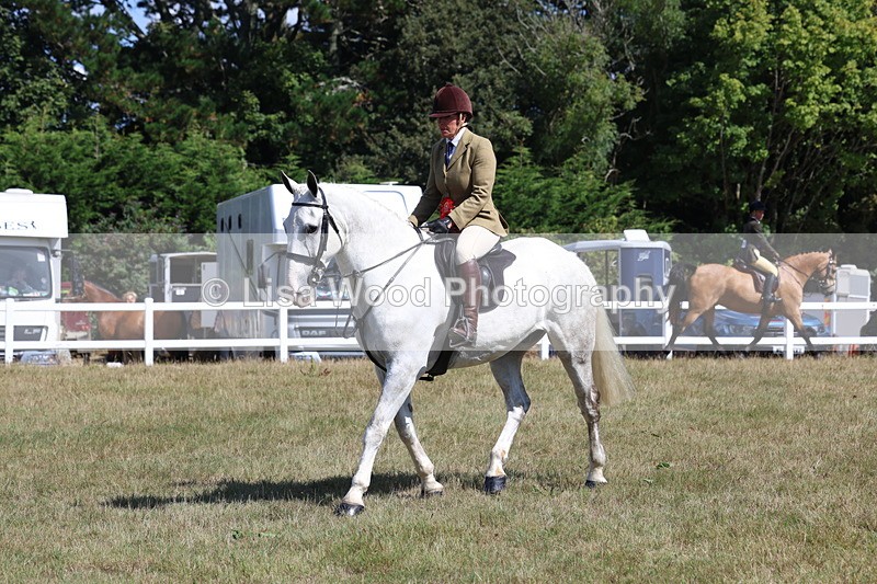 3E7A6383 - Working Hunter Championship