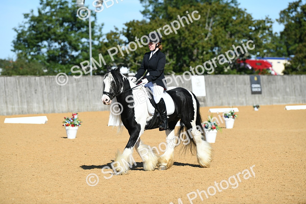 SBM_18070 - D4 - Small Tour Championship - Intro B