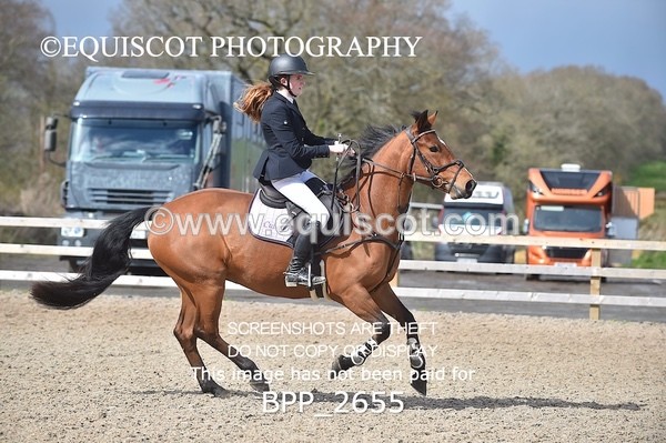 BPP_2655 - CLASS 29 STX-UK Pony BritiNovice / 0.80m Open