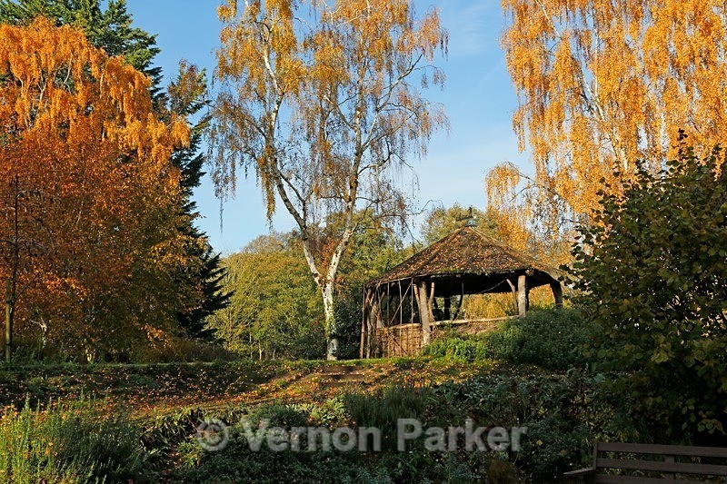 Autumn at Goodestone water gardens - Norfolk