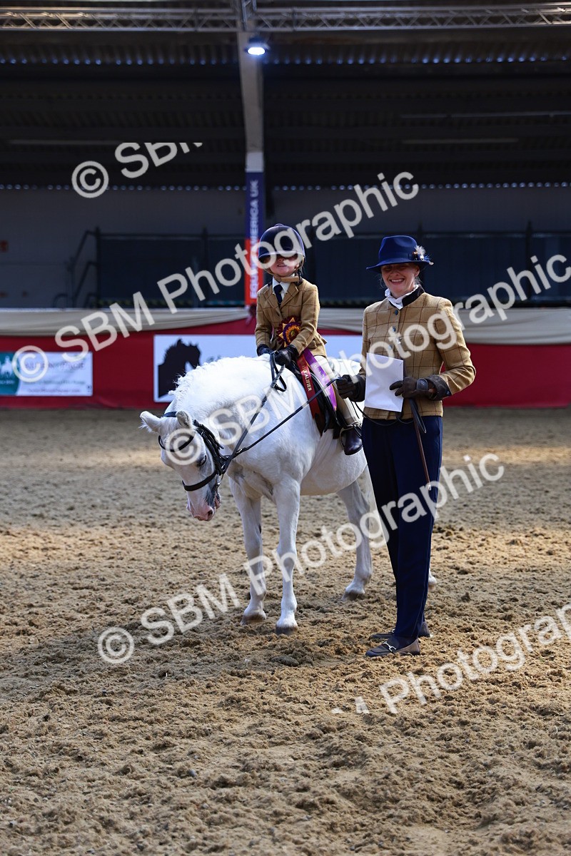SBM_12793 - HOYS Veteran Qualifier - Ridden Champ