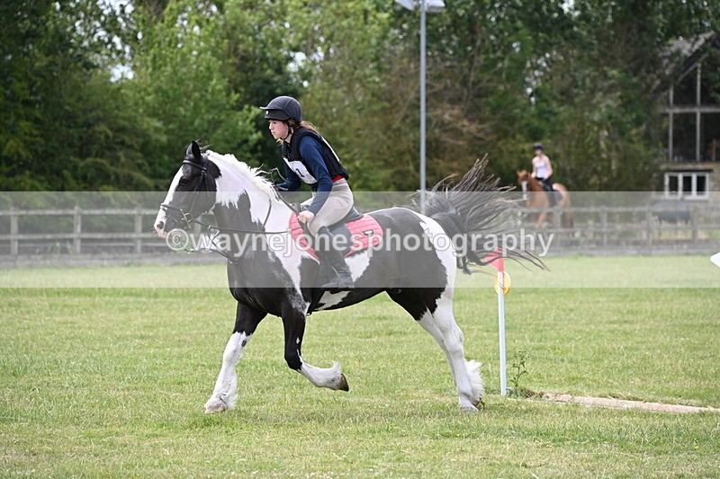 WJ6_6941 - 80cm XC Pairs