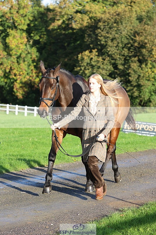 251026A-093531-22356 - D-357-Fenella.Redvers