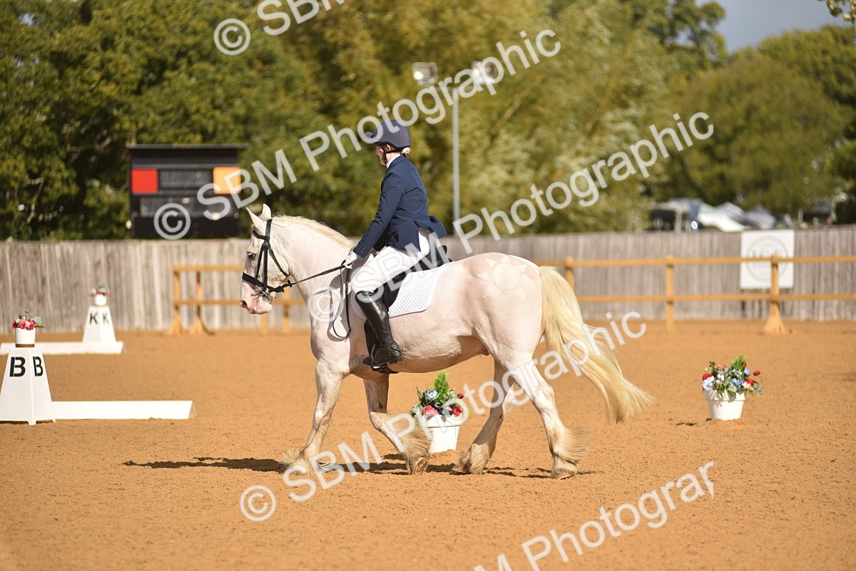 SBM_03194 - D4 - Small Tour Championship Intro 4