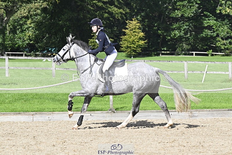 251005A-142701-04417 - Cls 09 Nov 80-85cm