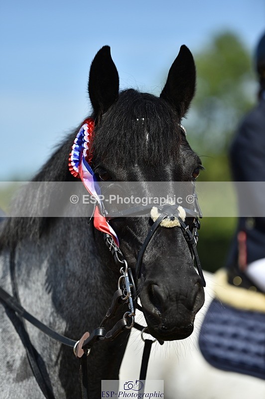 230903A-113720-04238 - Cls 18 Pony Brit Novice & 80cm Open