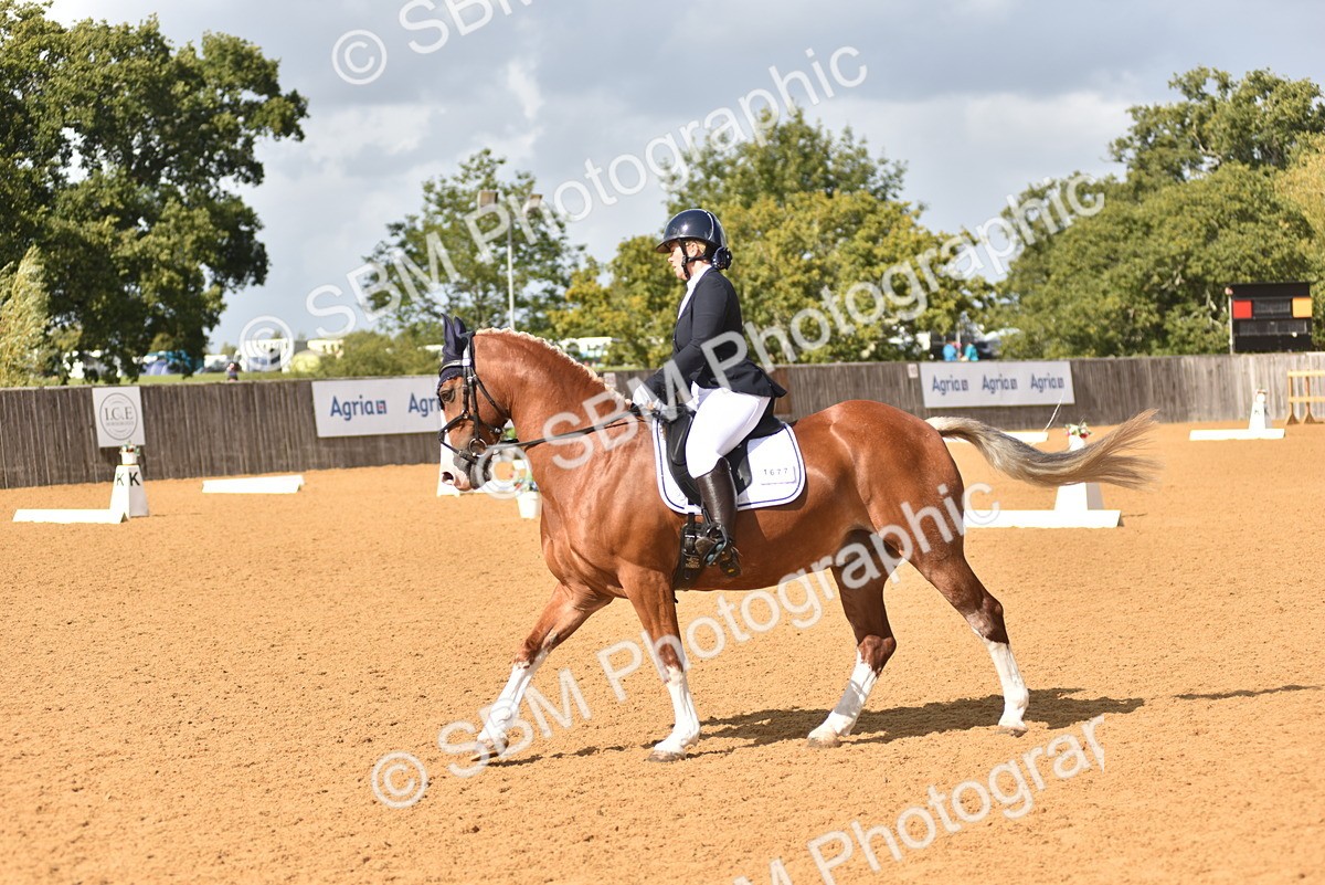 SBM_07817 - D15 - Small Tour Championship Novice 1
