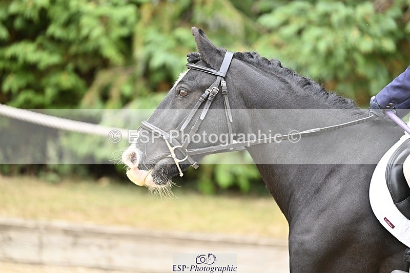 250820A-120541-04088 - Round 1, 11am to End