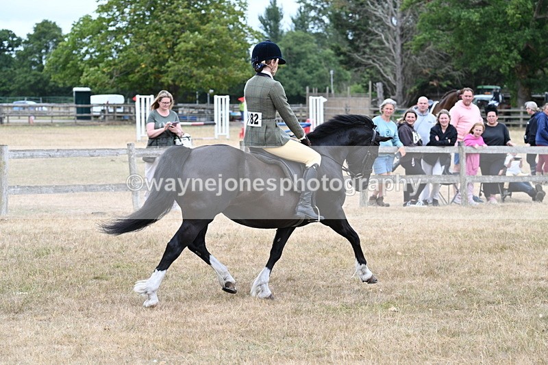 WJ7_0473 - Class 6 Ridden Mountain and Moorland