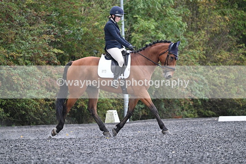 WJ7_3356 - Time 09:54 to 10:54