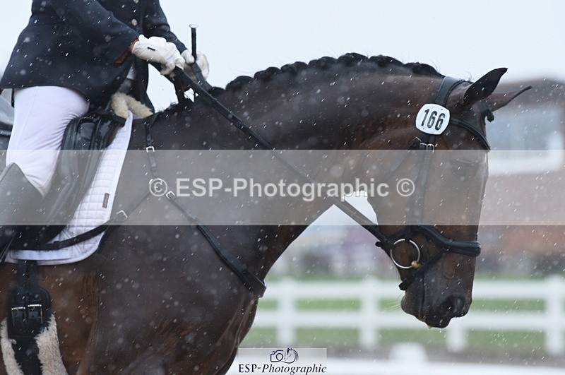 230708A-151522-03252 - Novice 24