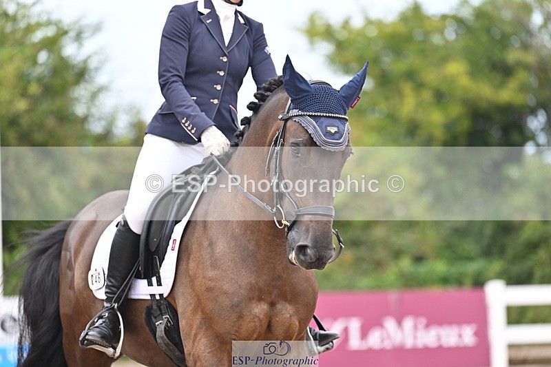 240817A-131028-09249 - 246-Katie.Carss-Desach.Cinderella