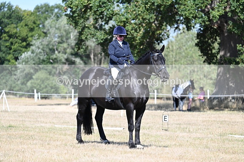 WJ7_9953 - Time 11:03 to 11:28