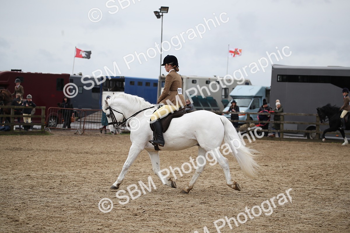 SBM_006146 - Class 10-13 - RIHS Small Large Breeds