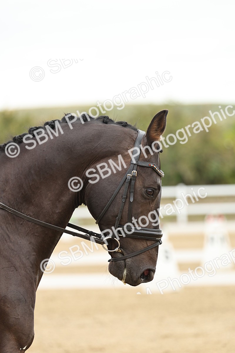 SBM_006604 - Class 21 - Medium 5 Bronze - 9.08-9.48