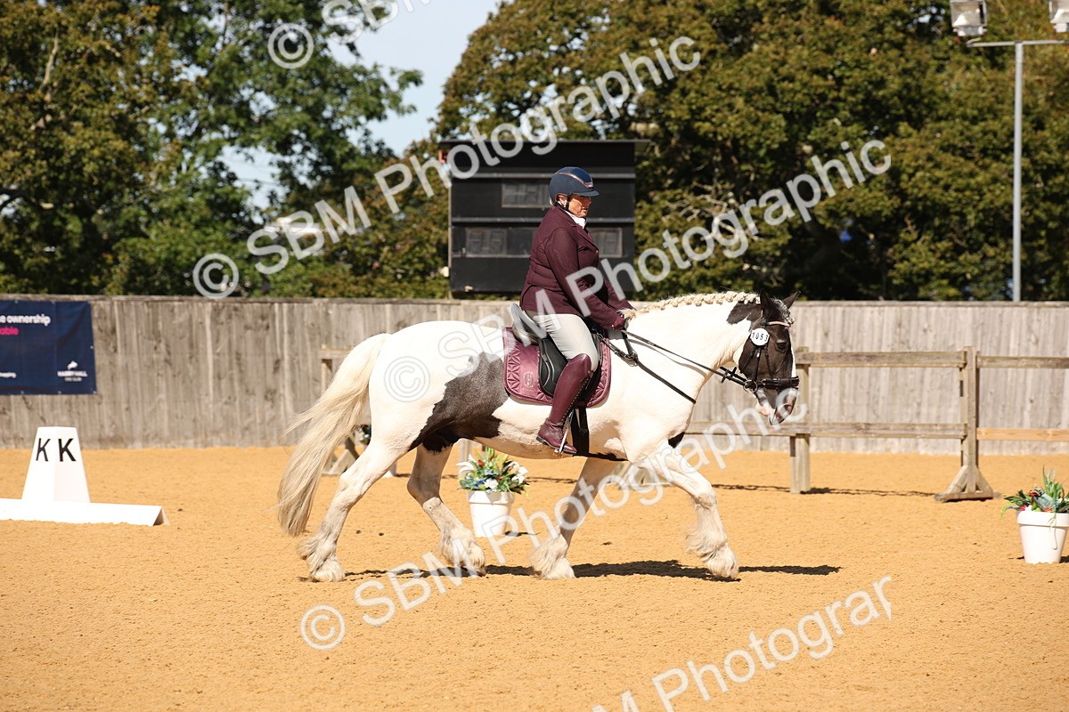 SBM_21660 - D5 - Small Tour Championship - Intro C