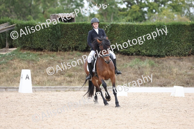 20250820-1100 - Class 17 - Elementary 4