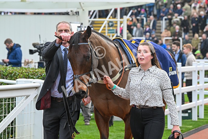151124-Race 3-Paddock-Edwardstone-7641 - Race 3