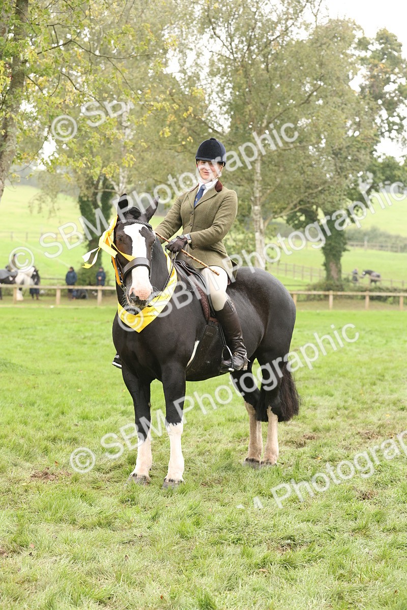 SBM_69864 - S69 - Show Cob Ridden