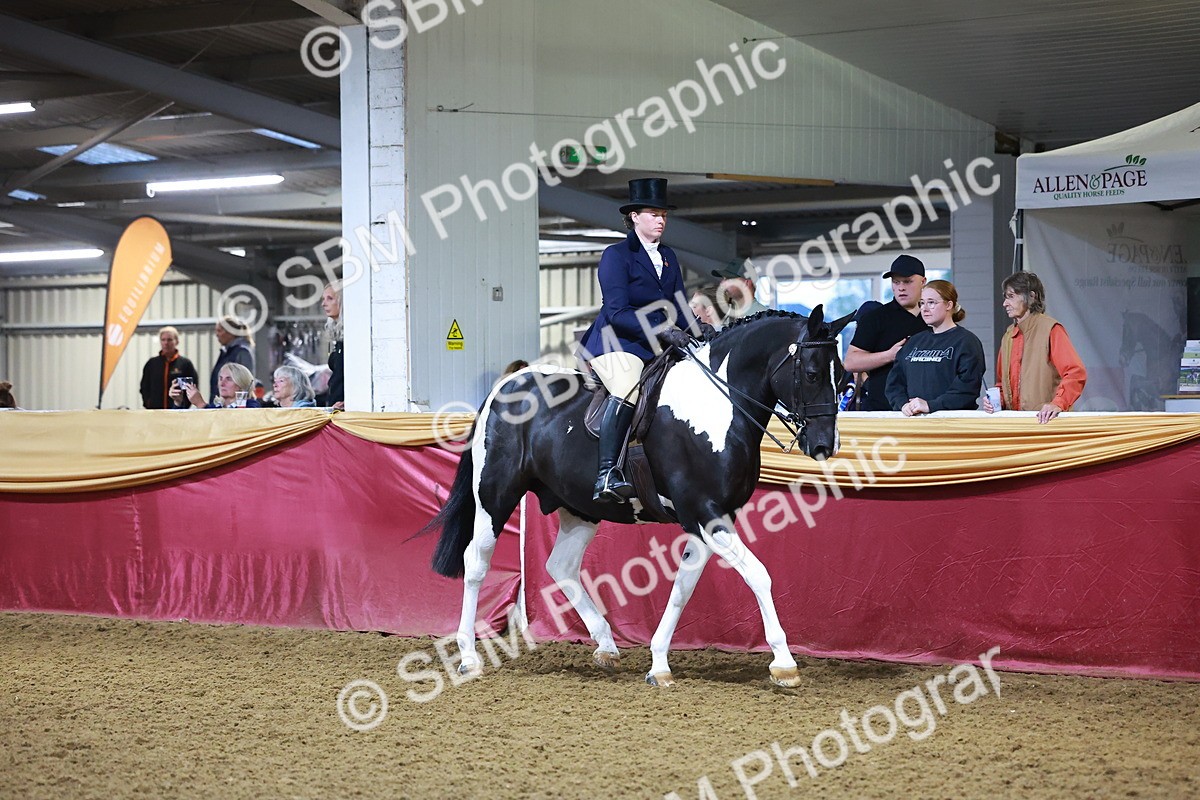 SBM_14879 - Class L - Coloured Champ