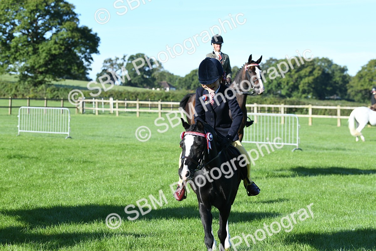 SBM_34075 - S16 - Condition & Turnout - Ridden