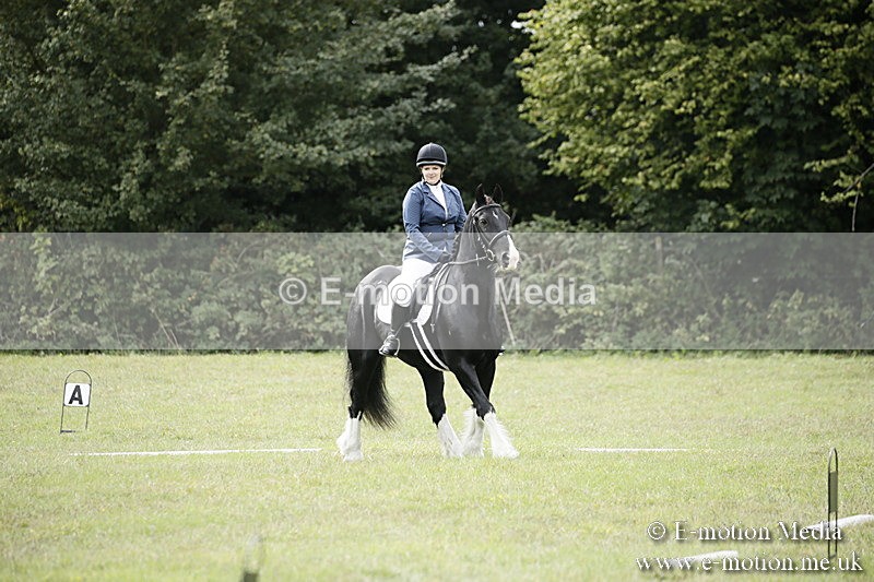 BVR080918 154 - BVRC Novice Dressage & CR 08/09/18