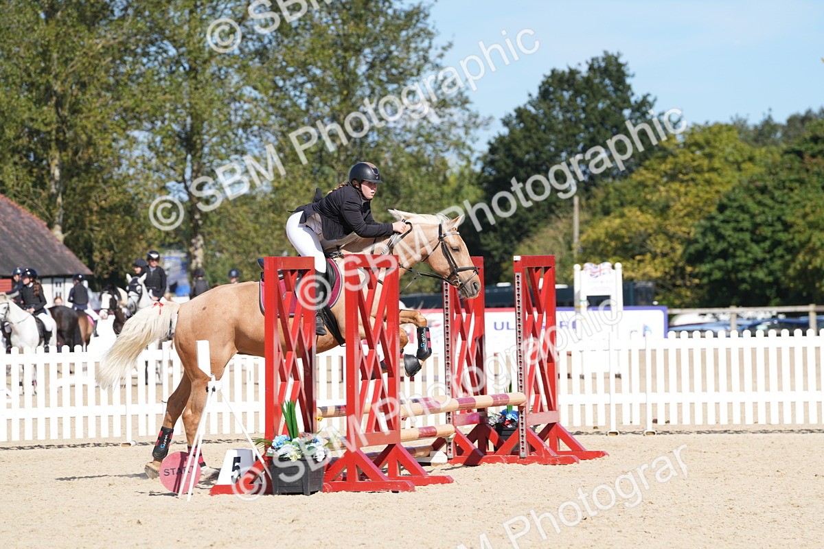SBM_38803 - J21 - Junior Horse 60cm Championship