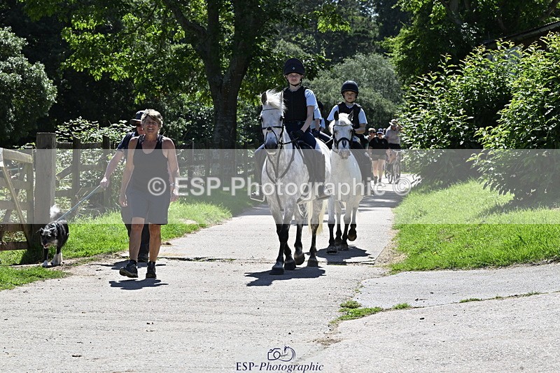 240728B-141206-00448 - Theo and Gemma's Groups Indoor