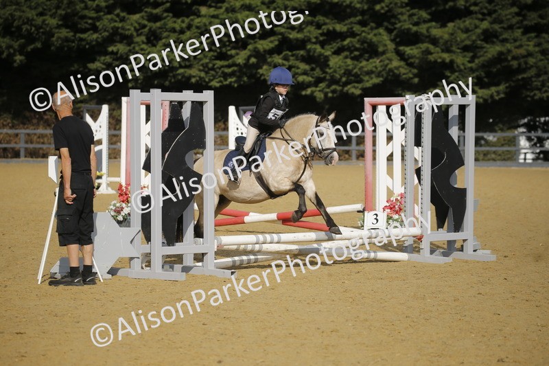 20250622-1161 - 40cm