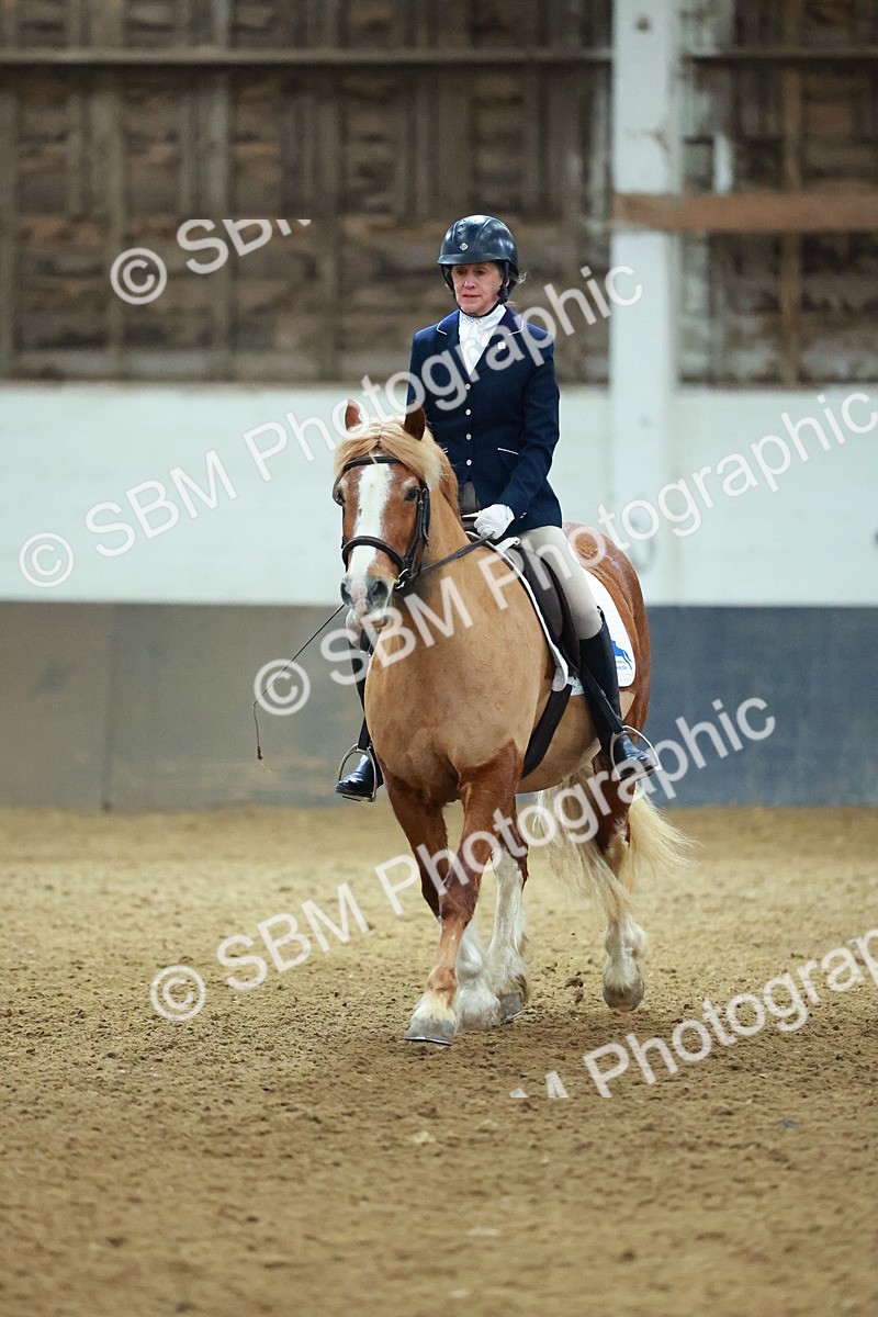 SBM_003664 - Novice 2