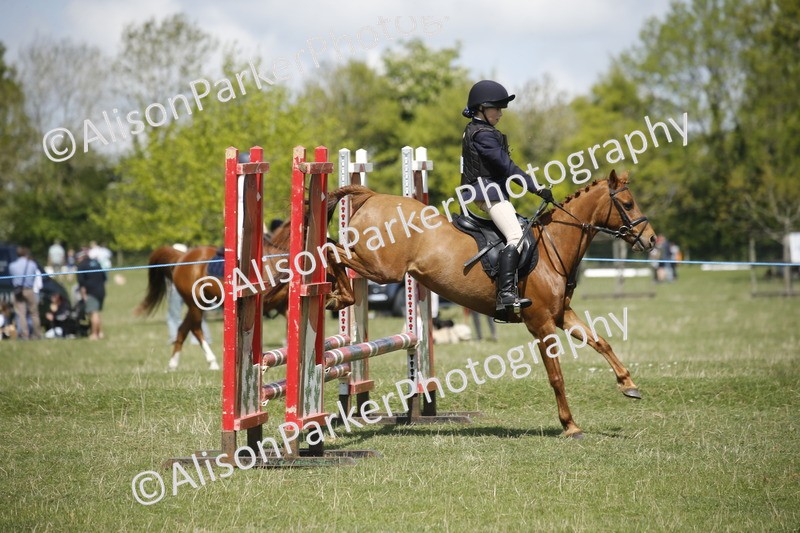 20250427-3495 - Class 14 - Absolute Novice 70cm