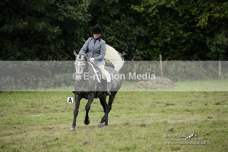 BVRC 120921 466 - Bourne Valley Riding Club UA Dressage & Show Jumping 12/09/21