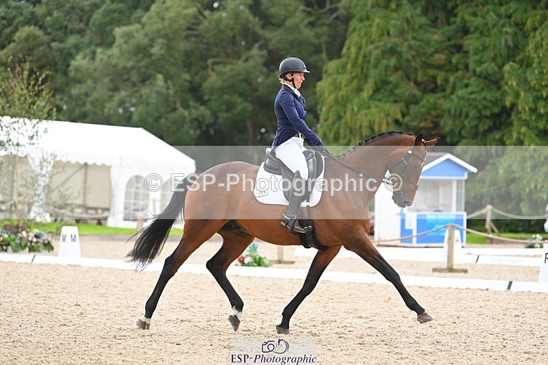 230813-141255-07699 - Cls 13 Medium Bronze 13.15 to End