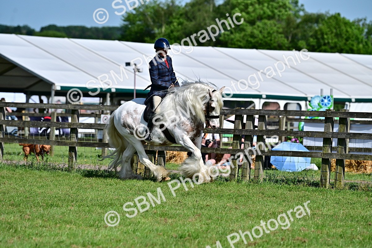 SBM_09388 - Class 63-65 - Traditional Gypsy Cobs In Hand & Ridden