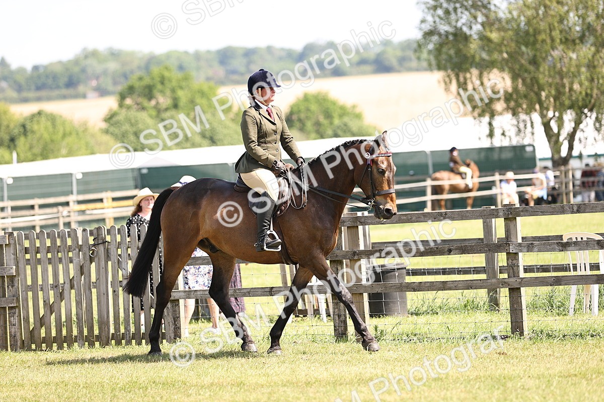 SBM_13064 - Class 75-76 LIHS BSHA Rising Star Hack Riding Horse