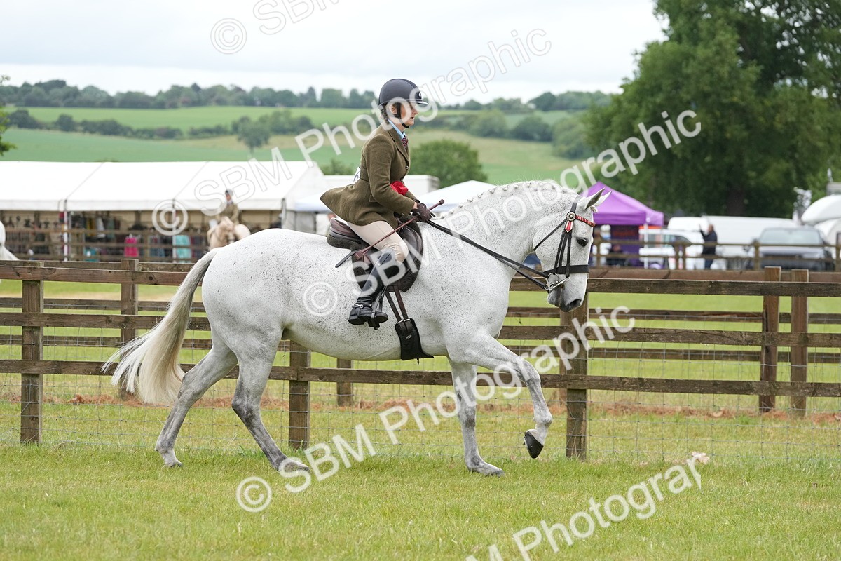 SBM_12835 - Class 97-98 - LIHS BSHA Rising Star Working Show Horse Hunter