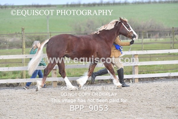 BPP_9053 - RING 2 - M&M