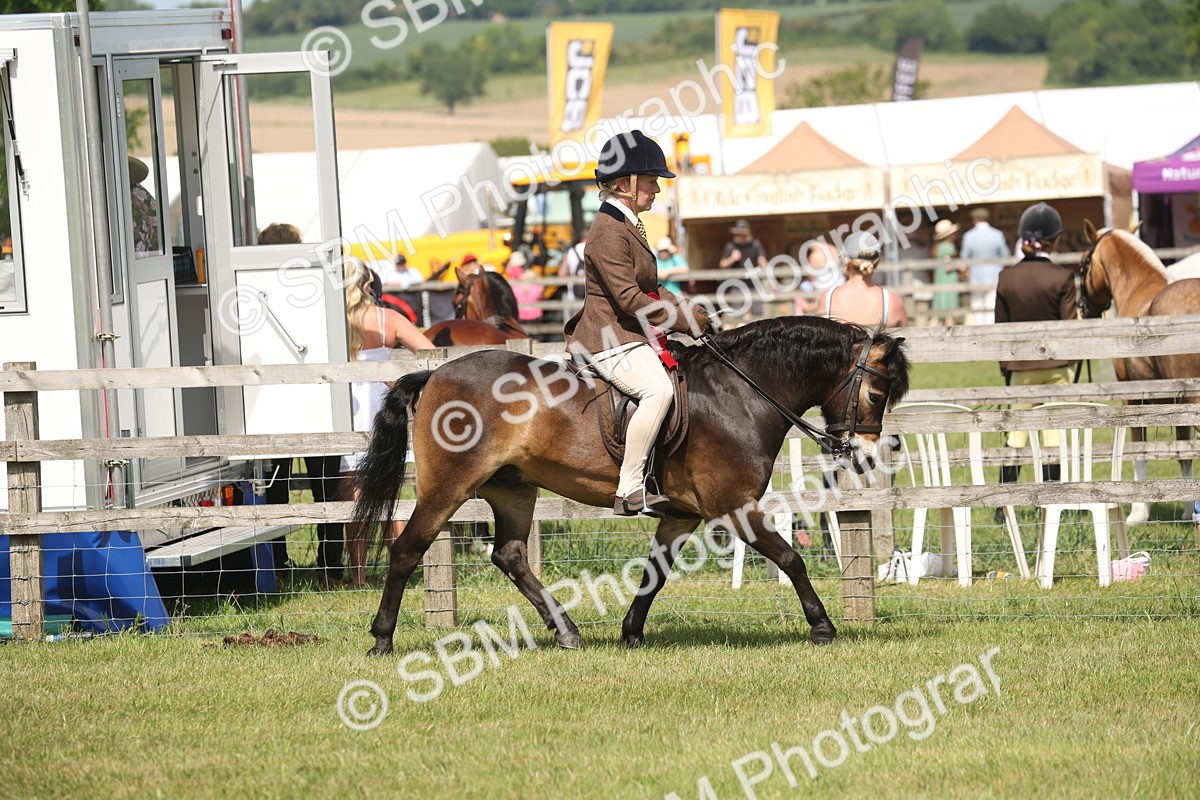 SBM_07655 - Class 26-30 - Mountain and Moorland Ridden