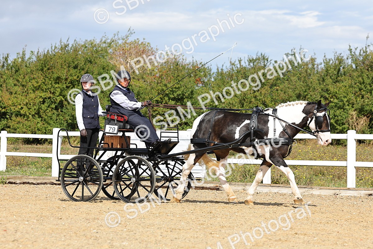 SBM_000904 - Class 8 - Novice Horse or Pony to any vehicle