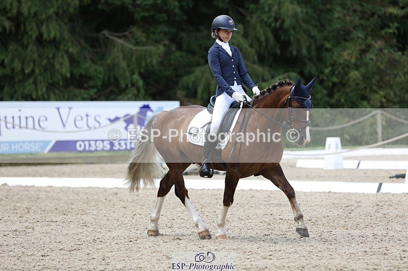 230812-115924-03895 - Cls 5 Novice Bronze 11.15 to 12.50 break