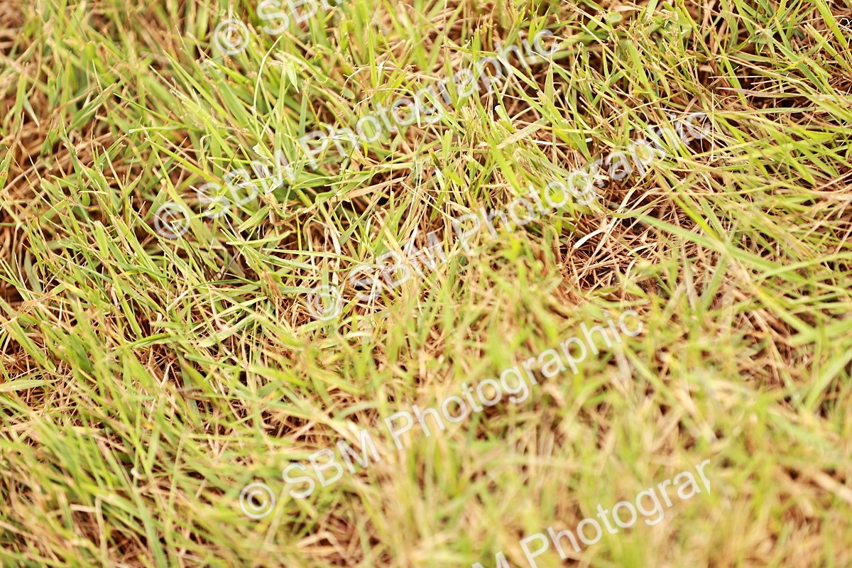 SBM_04599 - Class 5-8 - BSPA In hand