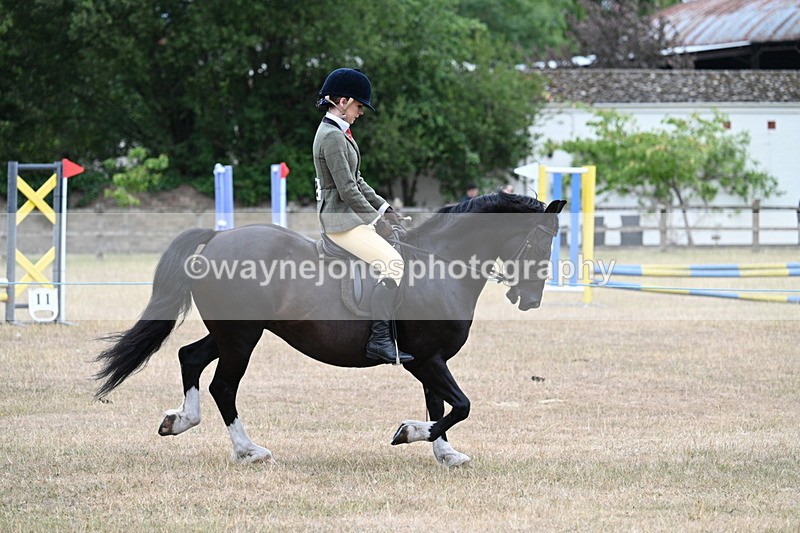 WJ7_0482 - Class 6 Ridden Mountain and Moorland