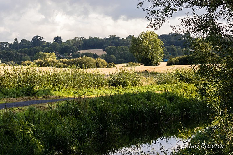 Walking On Broad Water - County Down