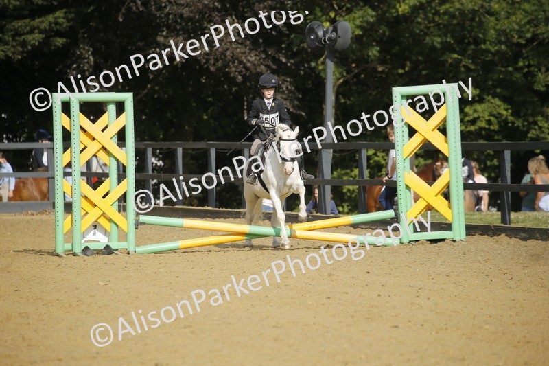 20250622-1196 - 40cm