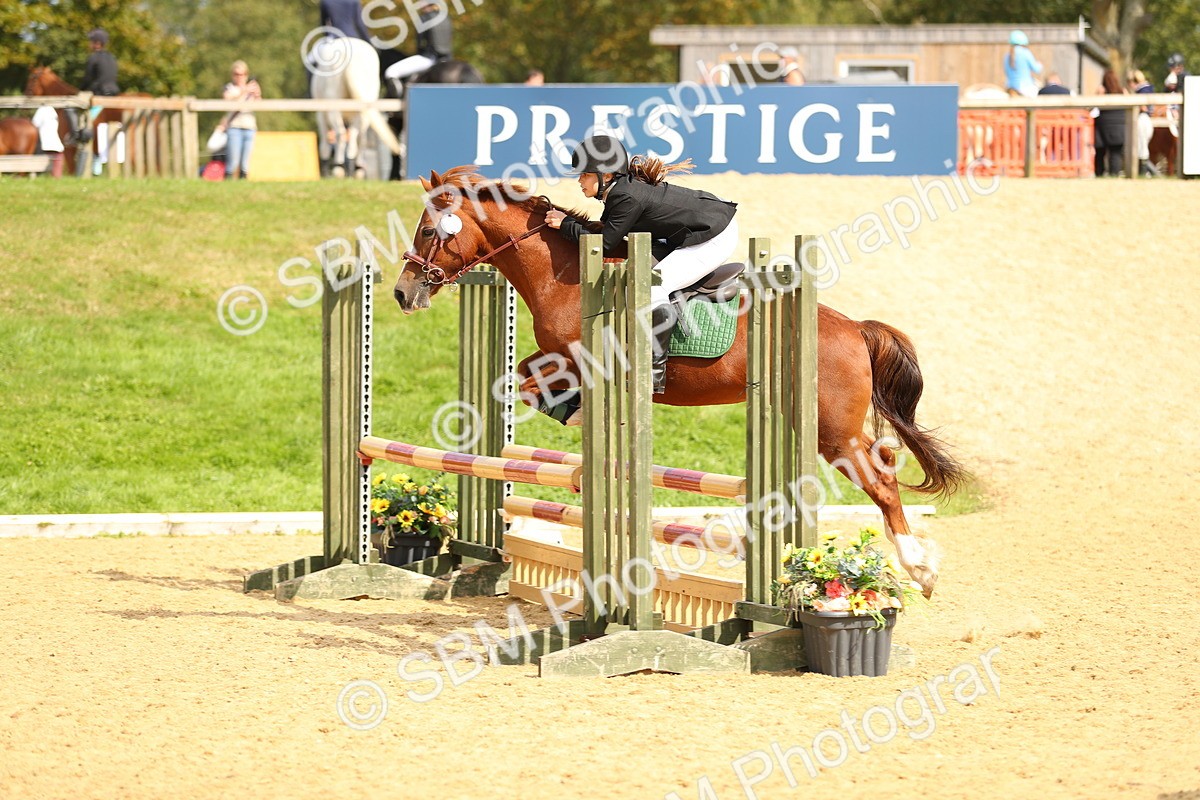 SBM_66021 - J17 - Junior Pony 80cm Championship